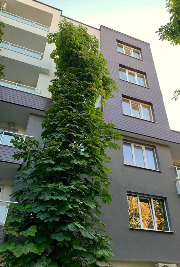 Comfort Deluxe Flat Ruse Exterior foto